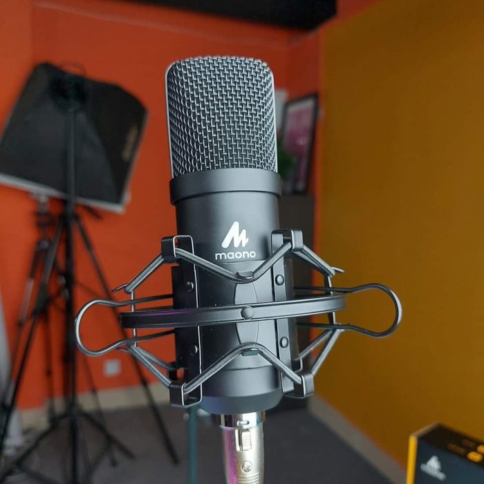 MicroPhone - Image 2